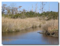 UNC Coastal Studies Institute photo