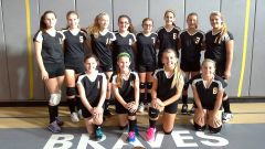 volleyball team 2014