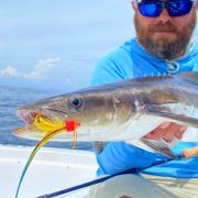 OBX on the Fly photo