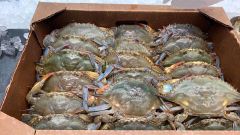 Outland Seafood photo
