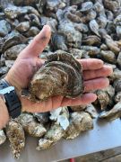 Outland Seafood photo