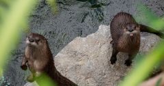 North Carolina Aquarium on Roanoke Island photo