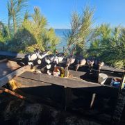 Waverunner Fishing Charters photo