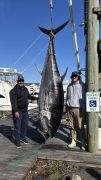Pirate&#039;s Cove Marina photo