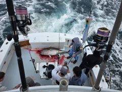 Phideaux Fishing Charters Outer Banks photo