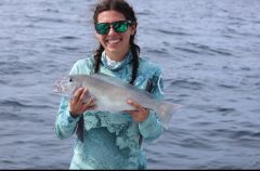 Wild Card Sportfishing Charters photo