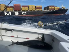 Phideaux Fishing Charters Outer Banks photo