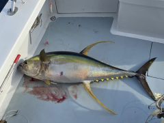 Phideaux Fishing Charters Outer Banks photo
