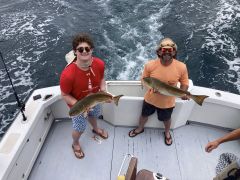 Wild Card Sportfishing Charters photo