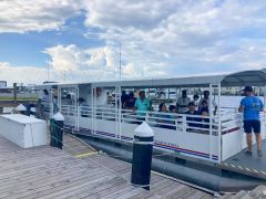 Harbor Star Dolphin Tours photo