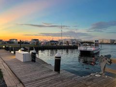 Harbor Star Dolphin Tours photo