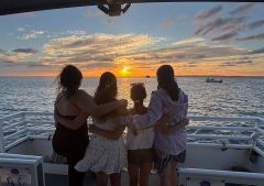 Harbor Star Dolphin Tours photo