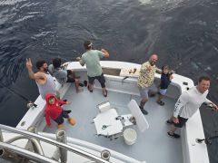 Phideaux Fishing Charters Outer Banks photo