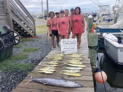 Wild Card Sportfishing Charters photo