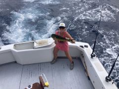 Wild Card Sportfishing Charters photo