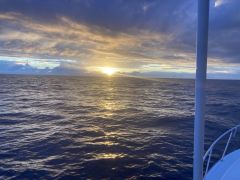 Wild Card Sportfishing Charters photo