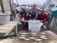 Wild Card Sportfishing Charters photo
