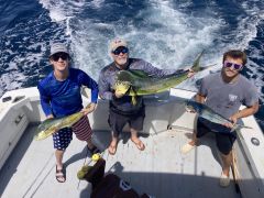 Wild Card Sportfishing Charters photo