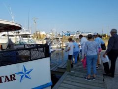 Harbor Star Dolphin Tours photo