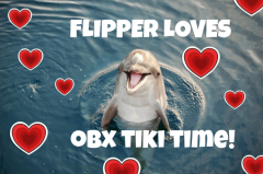 OBX Tiki Time - Dolphin Tours &amp; Sunset Cruises photo
