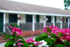 The Dare Haven Motel on the Outer Banks photo