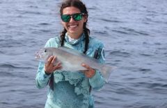 Wild Card Sportfishing Charters photo