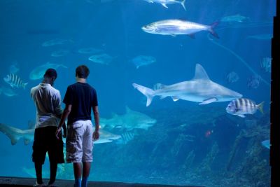 North Carolina Aquarium on Roanoke Island photo