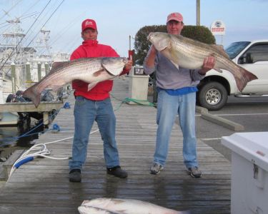 Pirate&#039;s Cove Marina photo