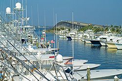 Pirate&#039;s Cove Marina photo