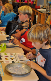 Manteo Elementary School photo