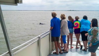 Captain Johnny’s Dolphin Tours photo