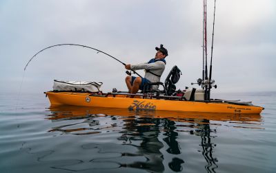Kitty Hawk Kites photo