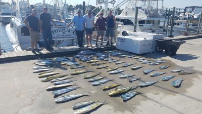 Phideaux Fishing photo