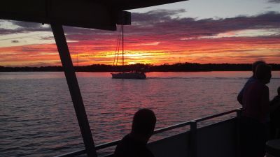 Captain Johnny’s Dolphin Tours photo