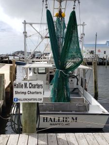 Hallie M Shrimping Charters photo