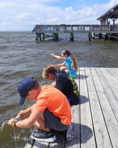 North Carolina Aquarium on Roanoke Island photo