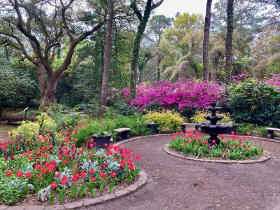 Elizabethan Gardens photo