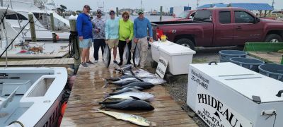 Phideaux Fishing photo