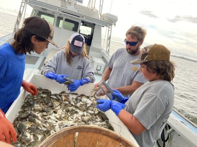 Risky Business Shrimping &amp; Crabbing Charters photo