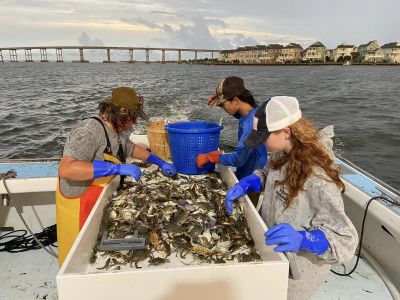 Risky Business Shrimping &amp; Crabbing Charters photo