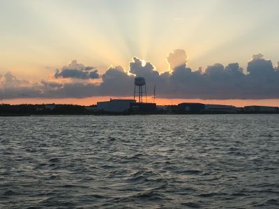 Harbor Star Dolphin Tours photo