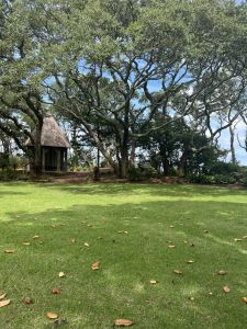 Elizabethan Gardens photo