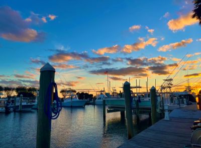 Pirate&#039;s Cove Marina photo