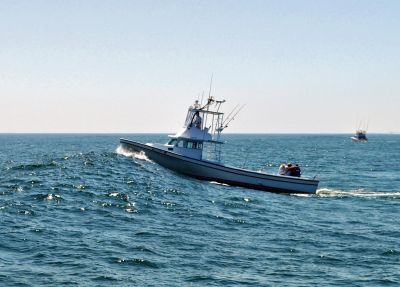 Risky Business Shrimping &amp; Crabbing Charters photo