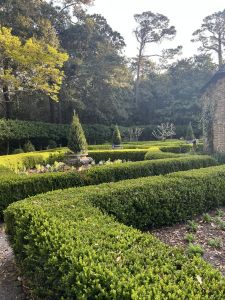 Elizabethan Gardens photo