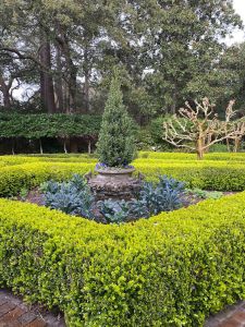 Elizabethan Gardens photo