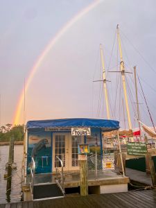Captain Johnny’s Dolphin Tours photo