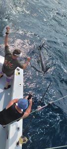 Phideaux Fishing photo