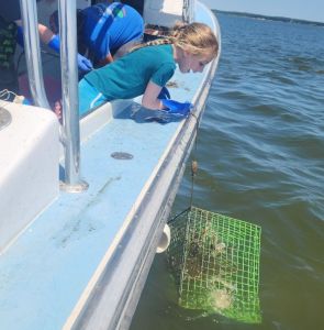 Risky Business Shrimping &amp; Crabbing Charters photo