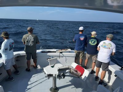 Phideaux Fishing photo